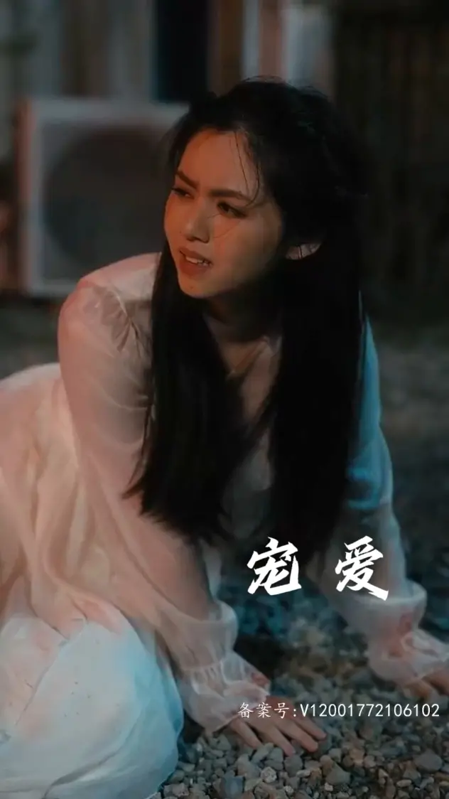 《宠爱短剧》：迷你剧里的治愈与感动，快节奏时代的温情选择！