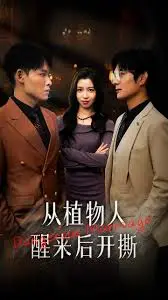 《从植物人醒来后开撕》：失忆后的疯狂复仇，剧情反转太刺激！
