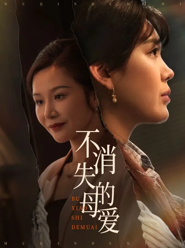 《不消失的母爱》：一部触及灵魂的温情巨作，献给全天下伟大的母亲！