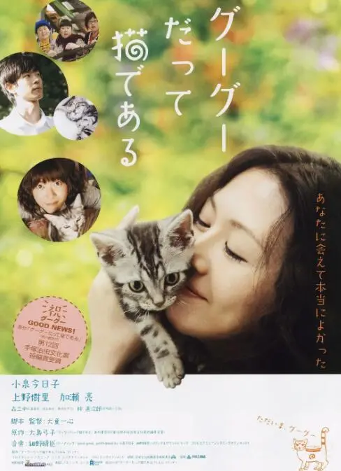 《咕咕是一只猫》：这猫咪的日常，比你想象的还精彩，看完我直接爱了！