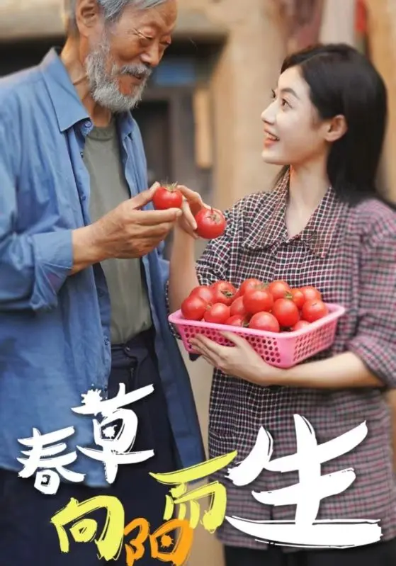 《春草向阳而生》：别只看脸！这部剧里的‘运动激情’与‘世界杯赛事’，你get到了吗？